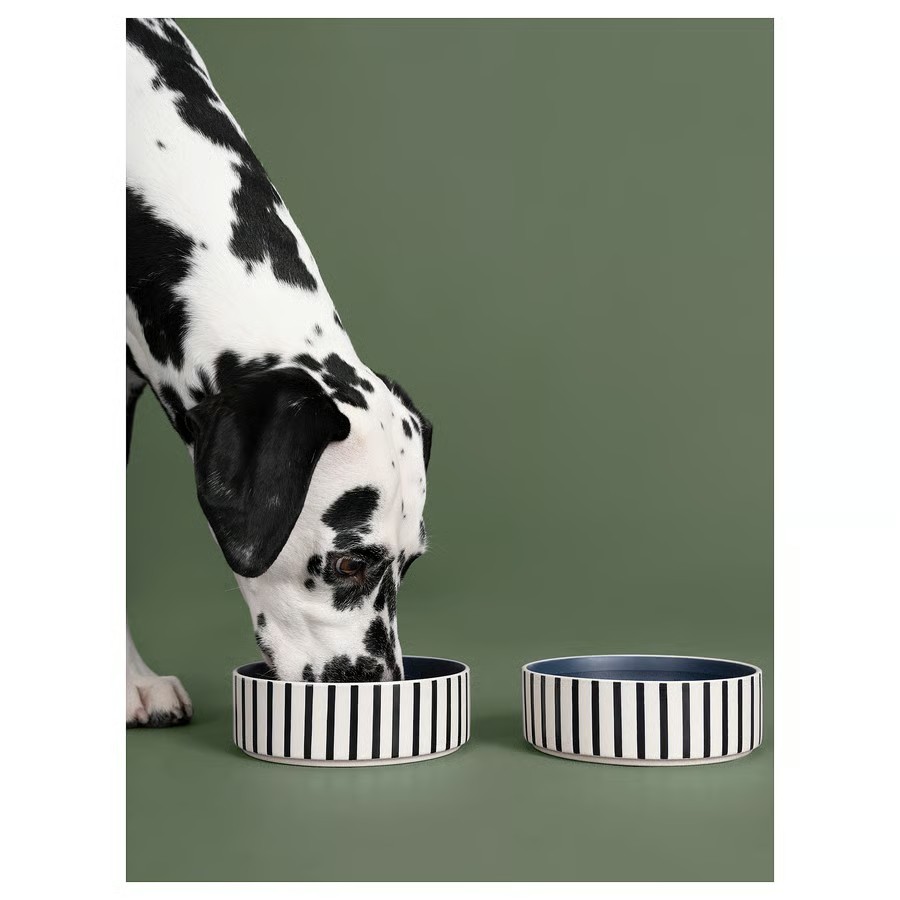 IKEA Cuenco P/Mascotas estampado de rayas (15cm) UTSÅDD