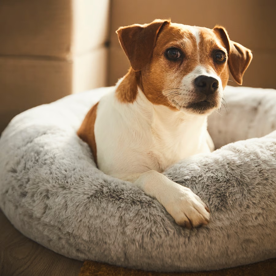 IKEA Cama para mascotas UTSÅDD