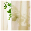 IKEA Visillo Beige C/Cinta de fruncir (145x300cm) ROSENROBINIA