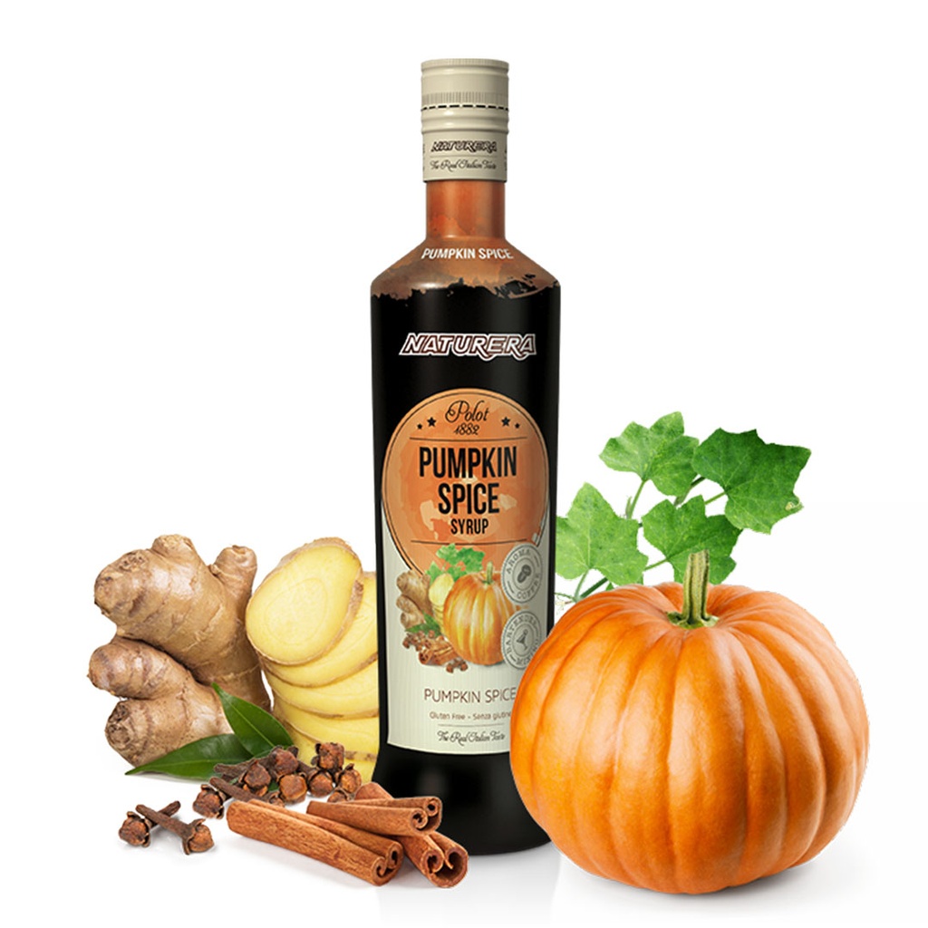 Sirope de Calabaza con Especias NATURERA POLOT (700ml)