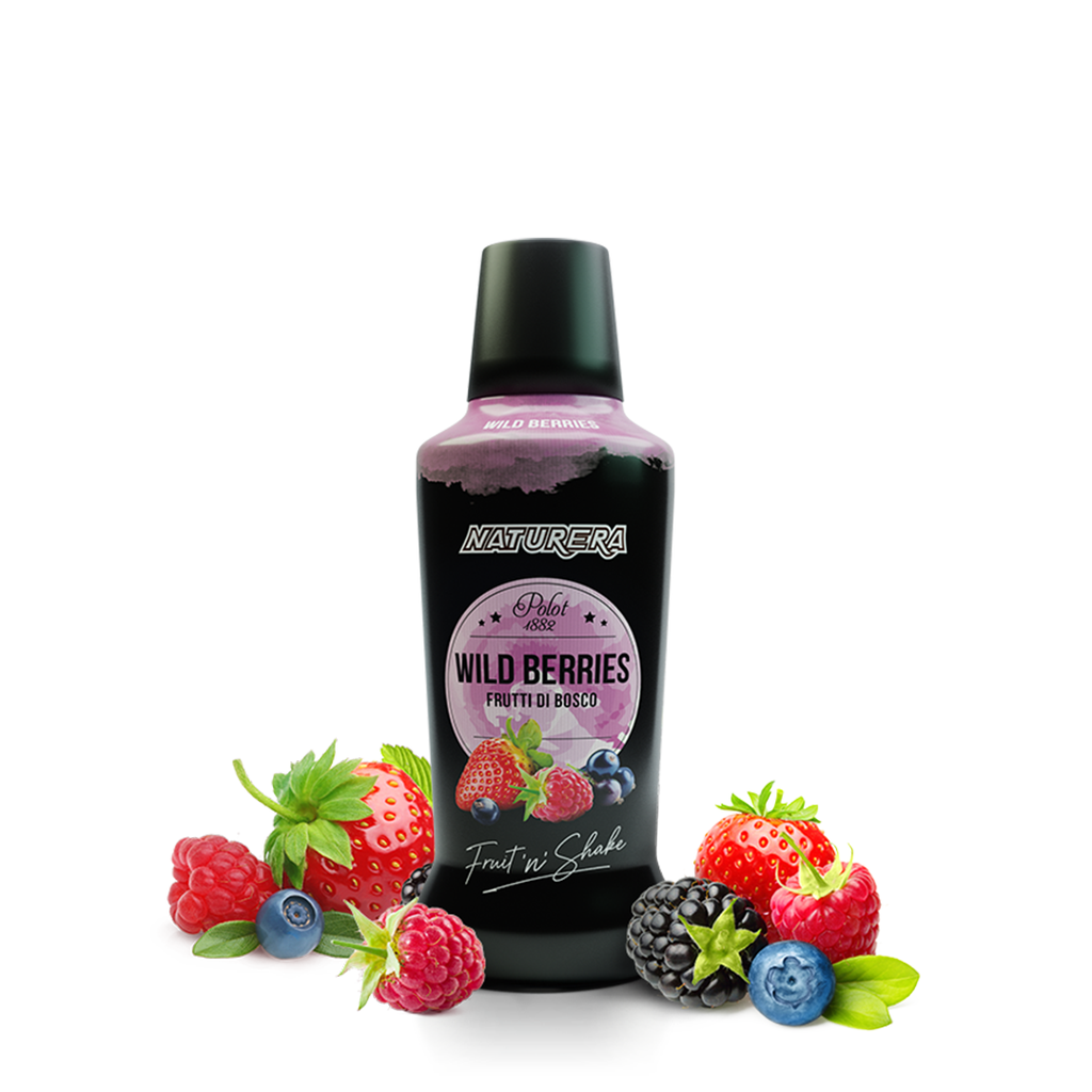 Puré de Frutos del Bosque NATURERA POLOT (750ml)