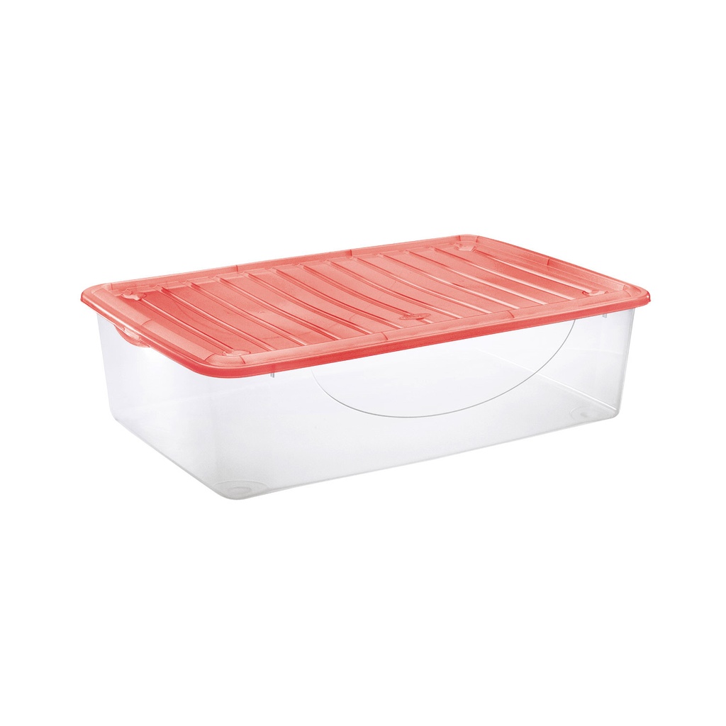 Caja Plástica Transparente C/Tapa 27L TONTARELLI