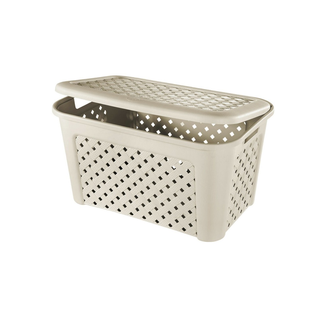 Caja Plástica Grande C/Tapa ARIANNA TONTARELLI (48.3L)