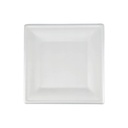 Plato Biodegradable en Pulpa de Caña Cuadrado 20cm (50u)